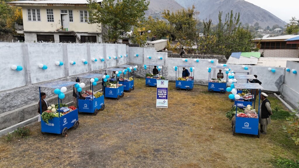 Provide 100 Fruitcarts to deserving in Pakistan