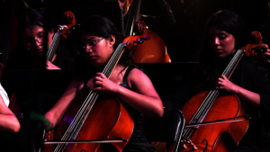 Cello students