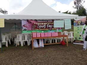 Pads that were distributed to the girls