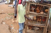 Economic Independence for Village Disabled Kenyans