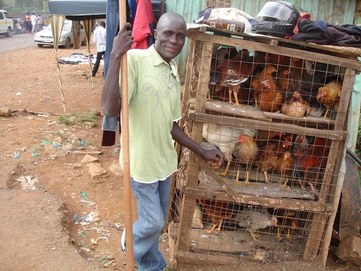 Economic Independence for Village Disabled Kenyans