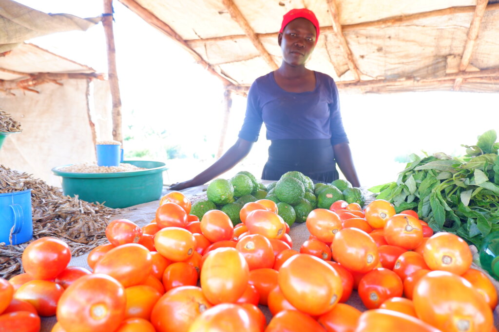 Empower climate entrepreneurs through microloans