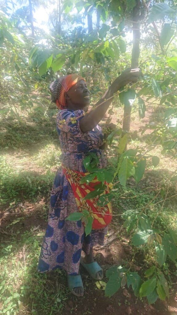 Empower climate entrepreneurs through microloans