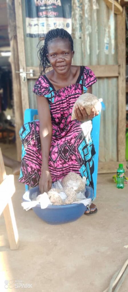 Empower climate entrepreneurs through microloans