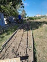 Inspecting the irrigation system to ensure proper