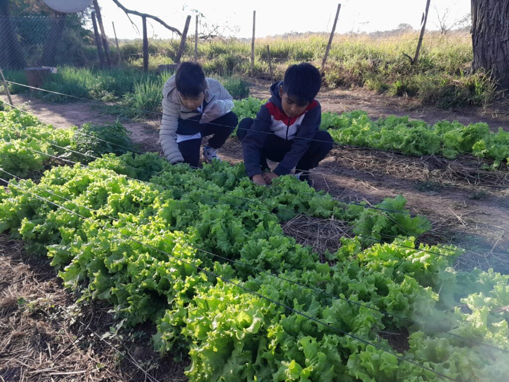 School Garden in Chaco