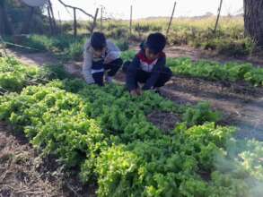 School Garden in Chaco