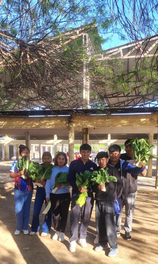 harvesting the fruits of a year's hard work