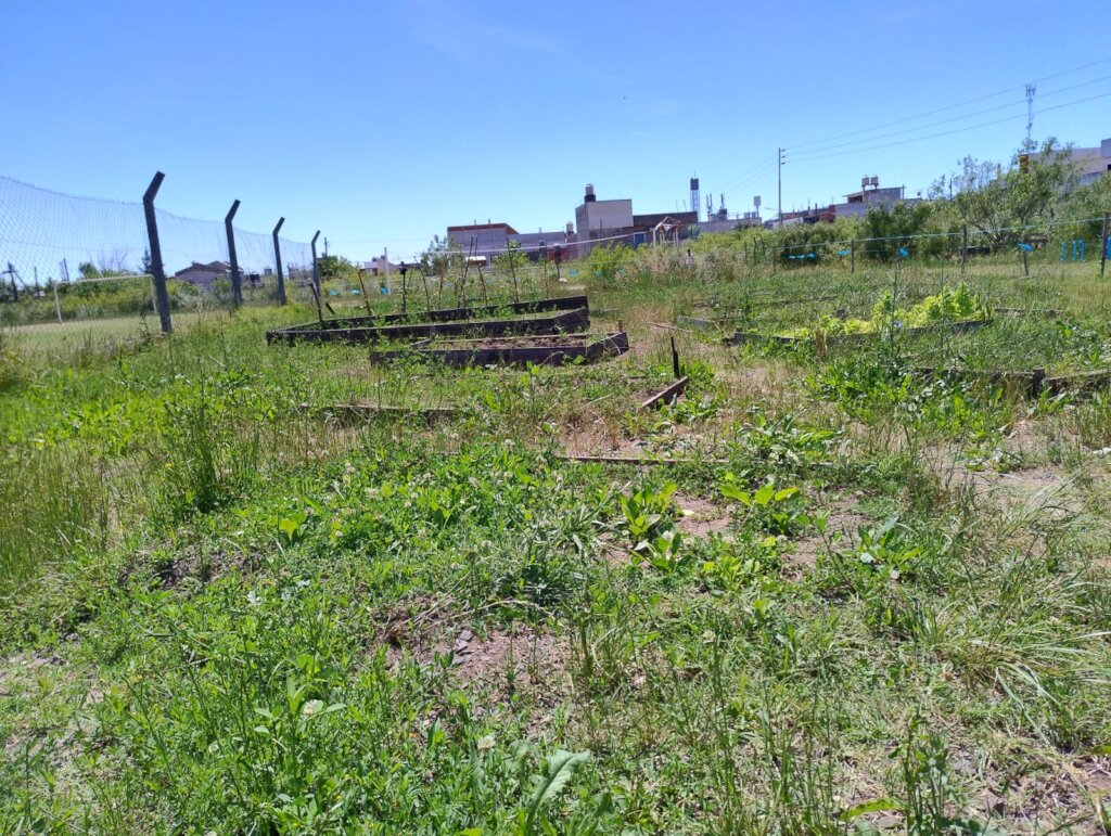 Greener Schools, Healthier Children