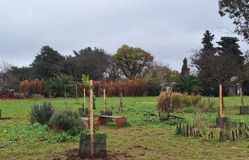 Greener Schools, Healthier Children