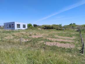 Zona para plantar 2