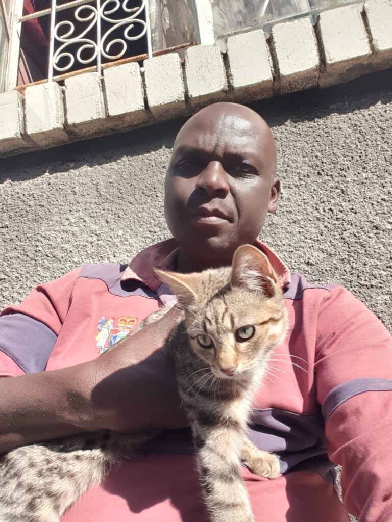 Kate's Haven - A Refuge for Stray Cats
