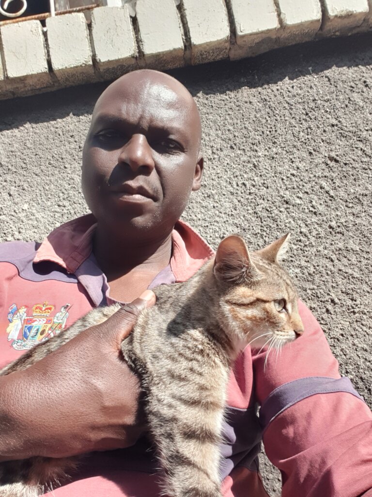 Kate's Haven - A Refuge for Stray Cats
