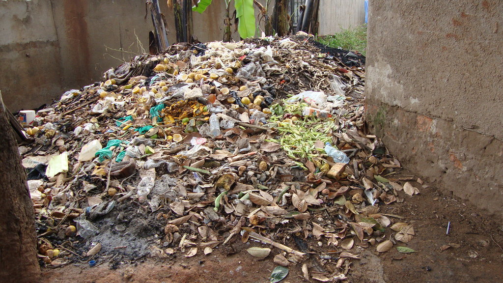 Help 600 youth manage waste in Kira Town Council