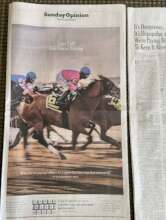 New York Times Article on Horseracing Subsidies