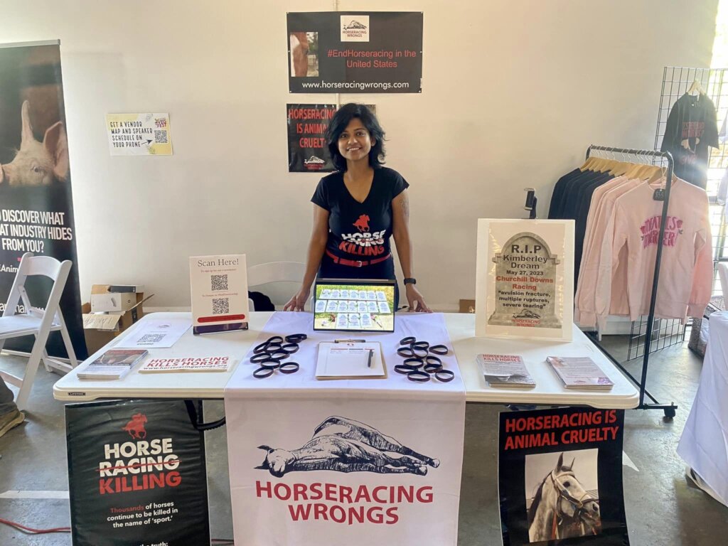 Protect Horses with Nationwide Advocacy Campaigns