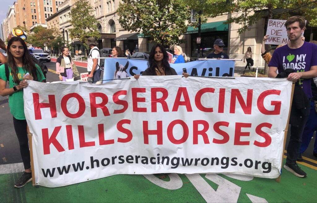 Protect Horses with Nationwide Advocacy Campaigns