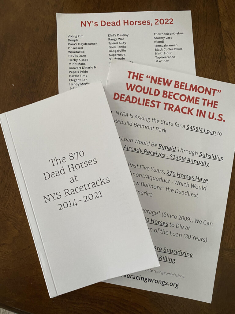 Protect Horses with Nationwide Advocacy Campaigns