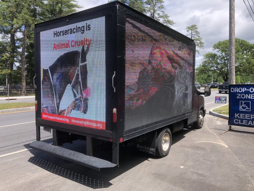 Protect Horses with Nationwide Advocacy Campaigns