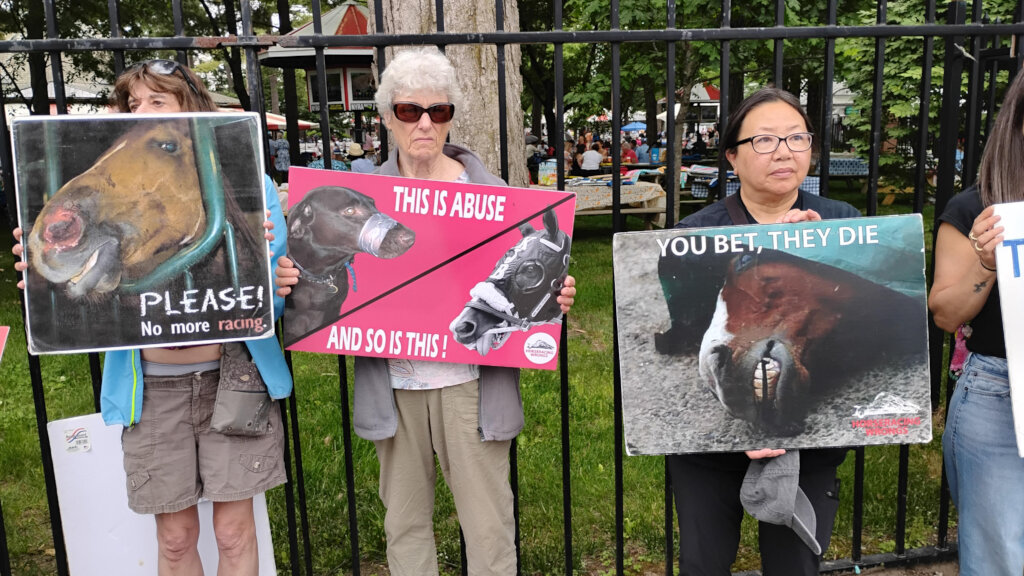 Protesters at Saratoga Race Course for the Belmont
