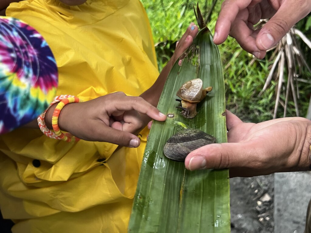 Feed 40 Children in Puerto Rico Art Program