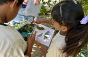 Feed 40 Children in Puerto Rico Art Program