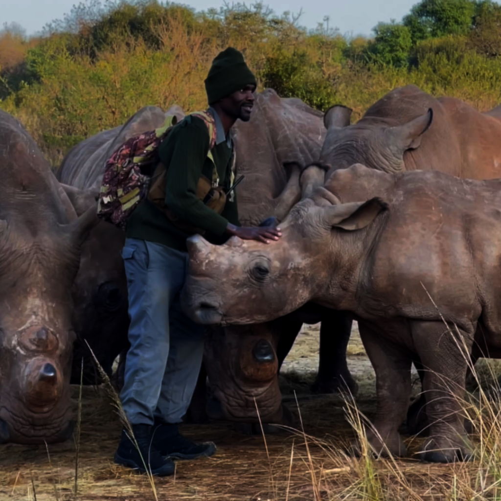 Giving Tuesday 2024 Save Orphaned & Injured Rhinos