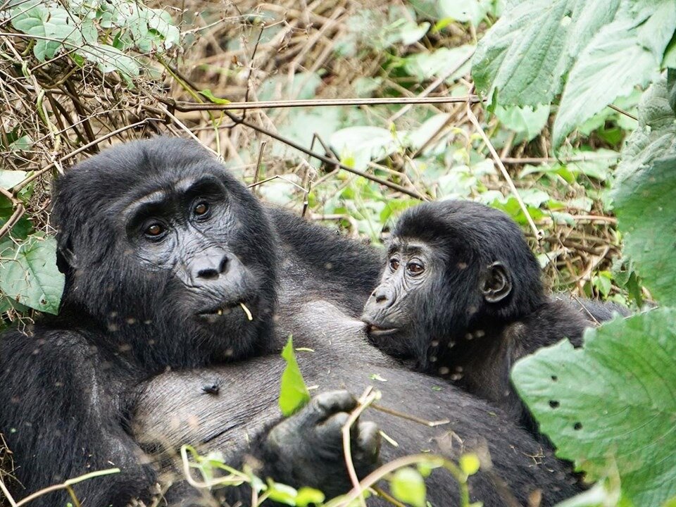 Family Planning Services in Bwindi