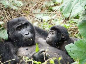 Mother and Child