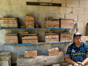 BeeCheii Hives of a partner beekeeeper in Mexico