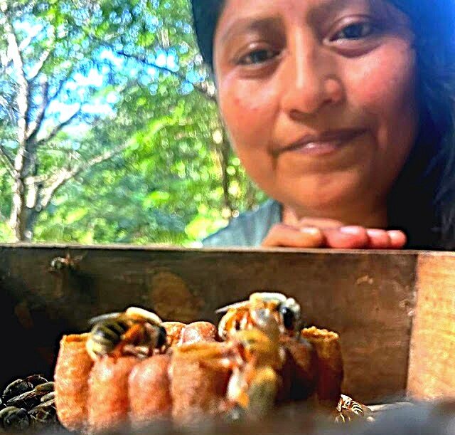 Casa Bee Kind Gardens and Hives