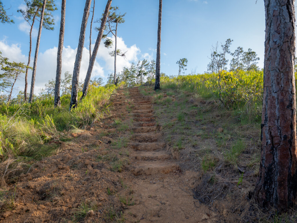 Steps being added for easier access