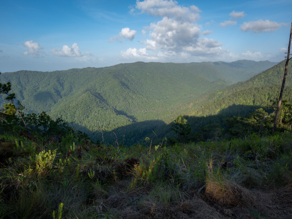 Roaring River Valley