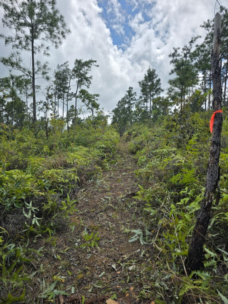 Demarcating Boundary Line