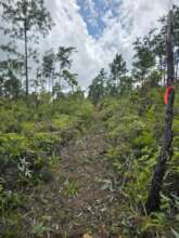 Demarcating Boundary Line