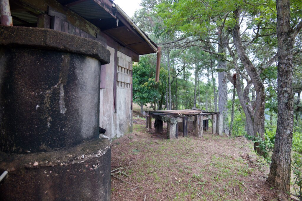 Bring Life Back to 1000 Foot Falls