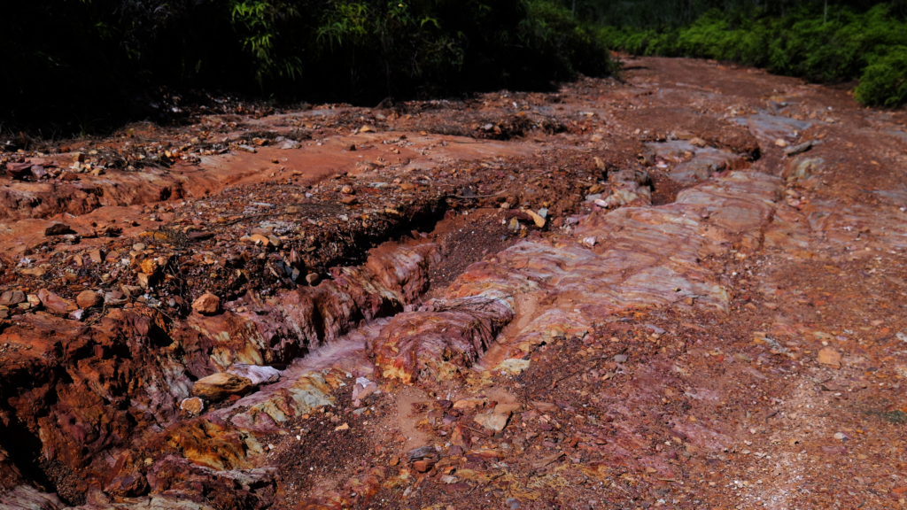 Bring Life Back to 1000 Foot Falls