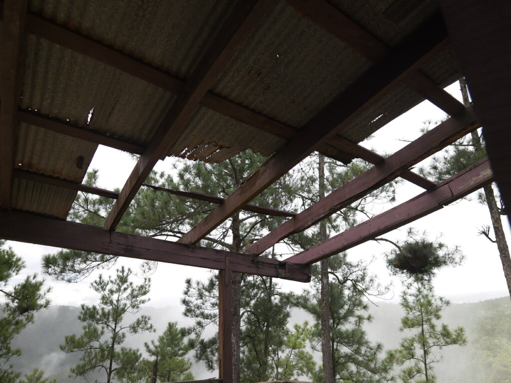 Bring Life Back to 1000 Foot Falls