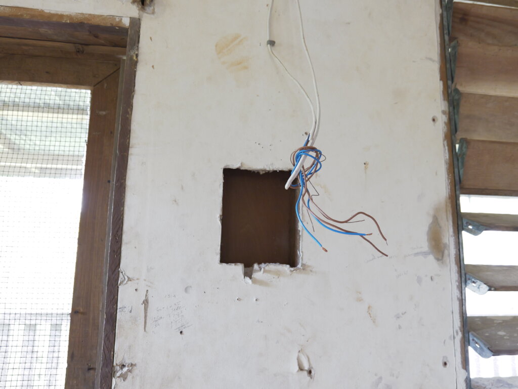 Bring Life Back to 1000 Foot Falls