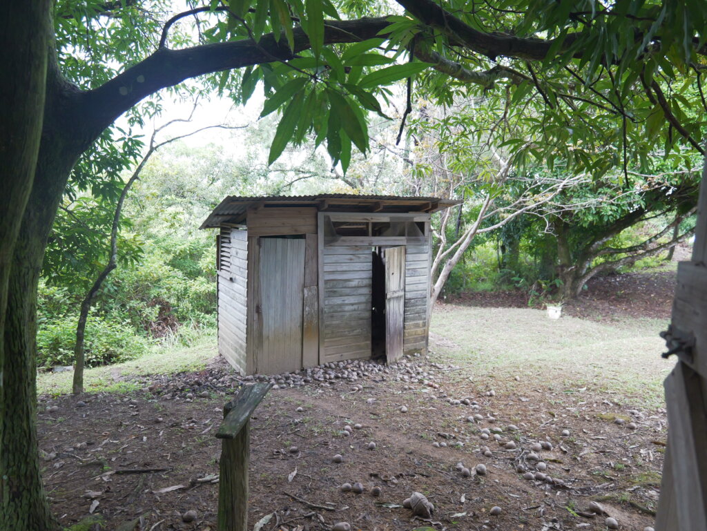 Bring Life Back to 1000 Foot Falls