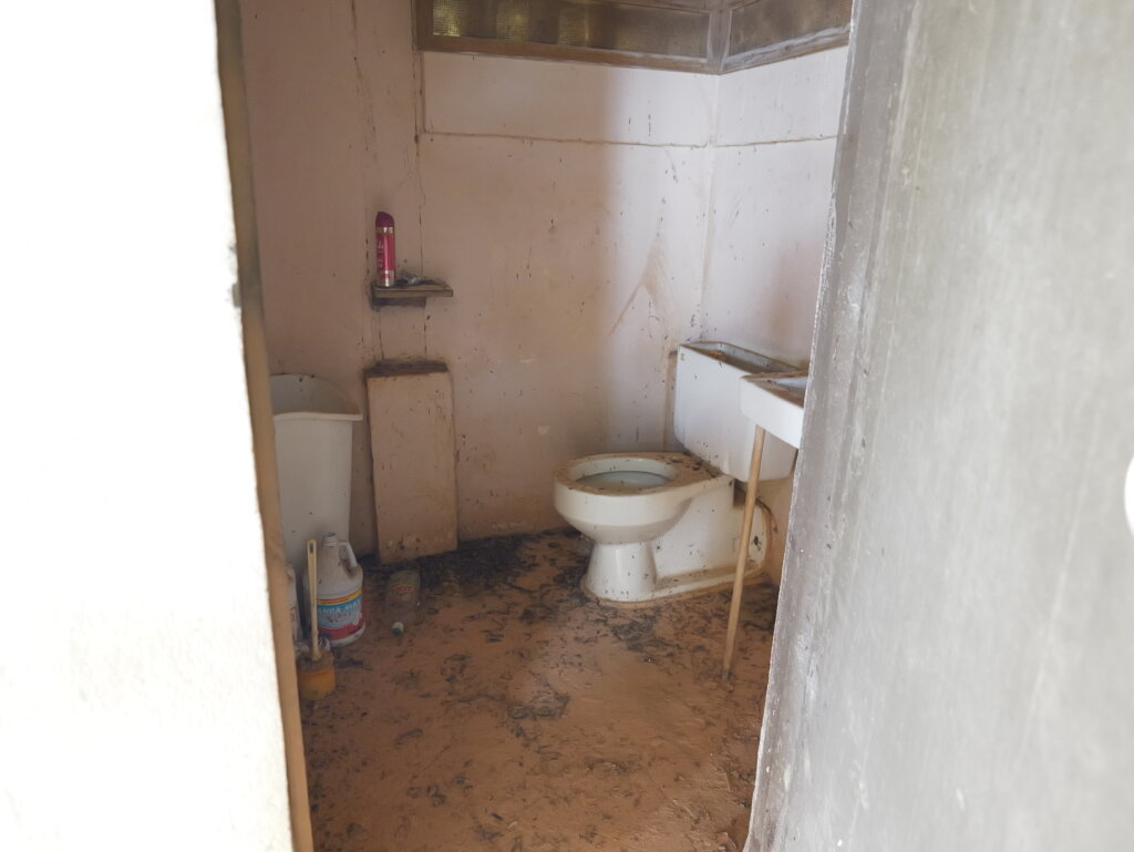 Bring Life Back to 1000 Foot Falls