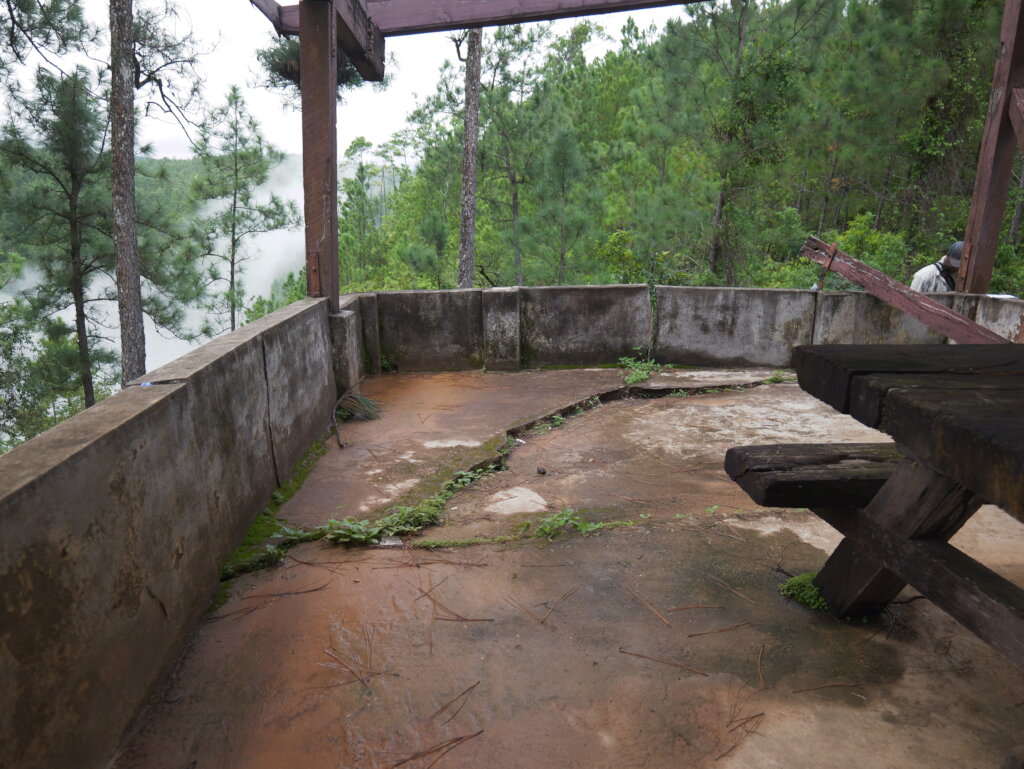 Bring Life Back to 1000 Foot Falls