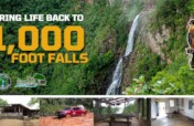 Bring Life Back to 1000 Foot Falls