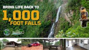 Bring Life Back to 1000 Foot Falls