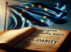 Solidarity in protecting fundamental human rights