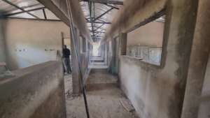 Corridor view showing spacious rooms on each side