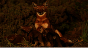The Ethiopian  Mama wolf, pictured here, is one o