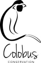 Help Save Primates and their Habitat