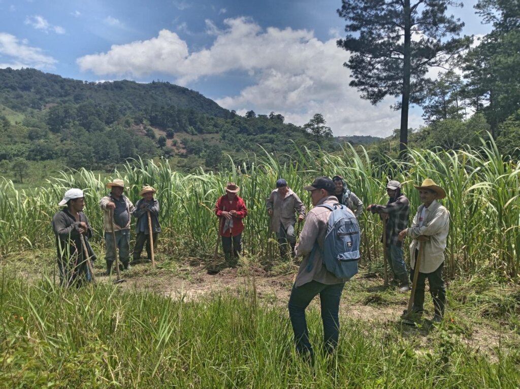 Committed to environmental care
