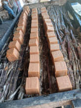 Farmers Continue the Tradition of Block Production